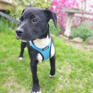 Meet your Posher, Patti